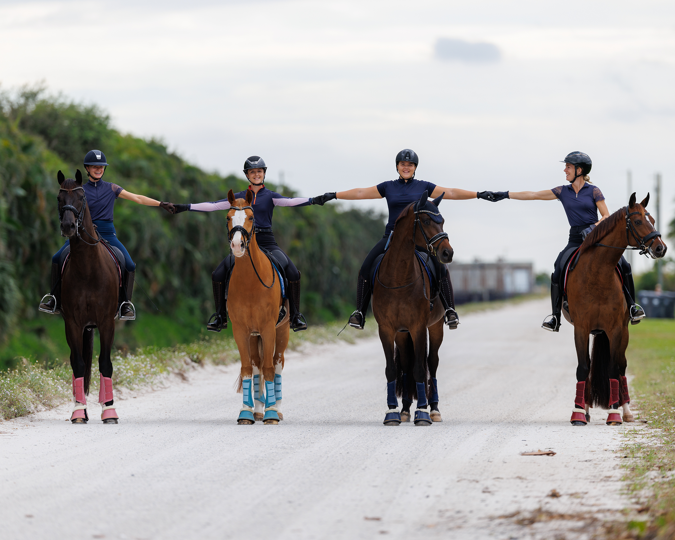 For the Everyday Equestrian