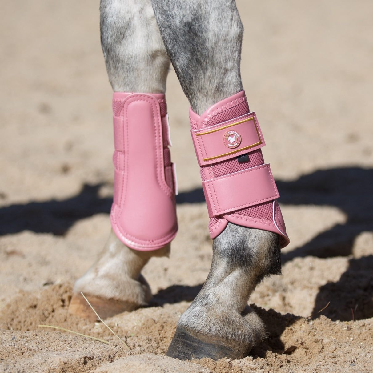 AIRSTRIDE® Tendon Boot (Pair): Dusty Rose image 1