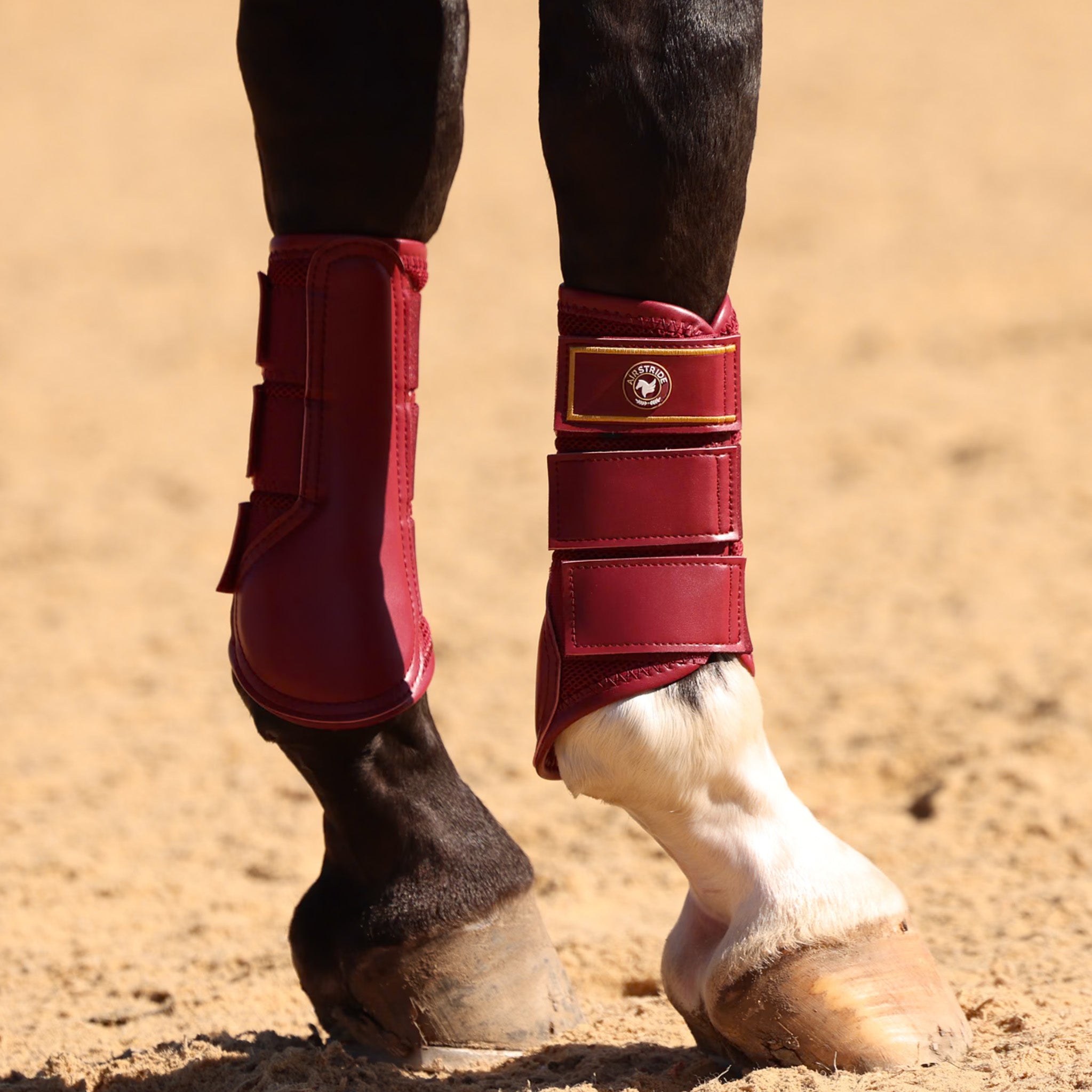 AIRSTRIDE® Tendon Boot (Pair): Burgundy image 1
