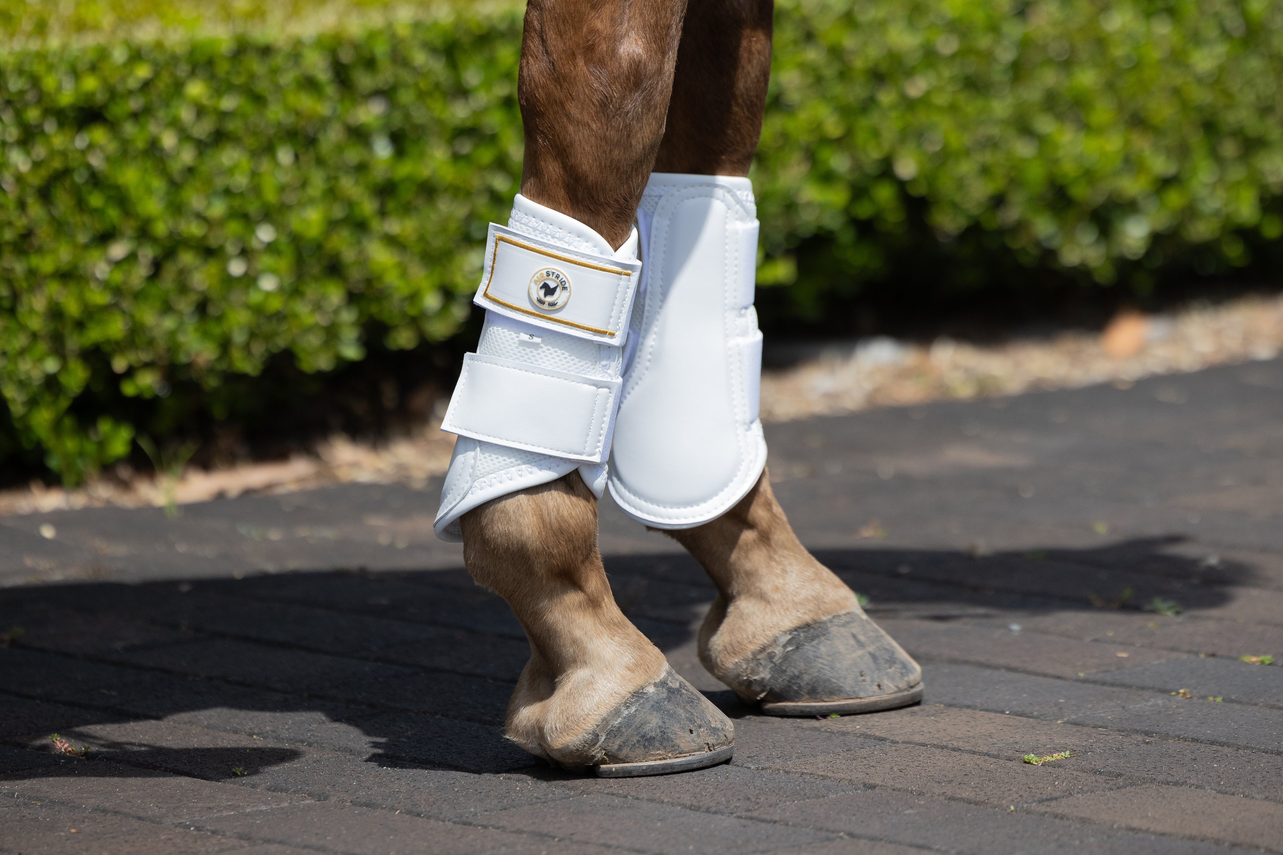 Airstride - Mesh Horse Boots & Leg Protection – AIRSTRIDE