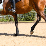 PRO Tendon Boot Pair: Black