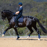 PRO Tendon Boot Pair: Navy
