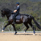 PRO Tendon Boot Pair: Navy