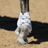 HALO Fetlock Boots (Pair): White